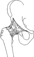 HUEFTE.TIF