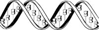 DNA.TIF