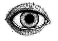 AUGE6.TIF
