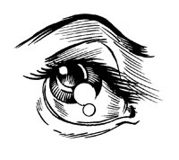 AUGE4.TIF