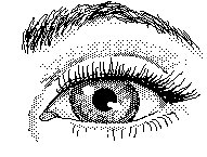 AUGE1.TIF
