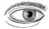 AUGE.TIF