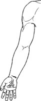 ARM2.TIF