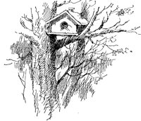 V_HAUS01.TIF