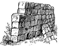 MAUER.TIF