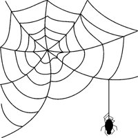 SPINNE4.TIF