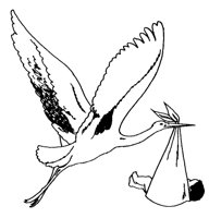 STORCH.TIF
