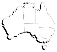 AUSTRAL2.TIF