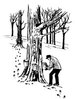HOLZFAE1.TIF