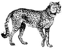 1883.TIF