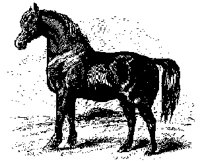 1881.TIF