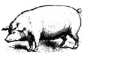 1877.TIF