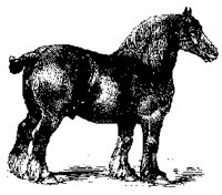 1871.TIF