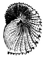1858.TIF