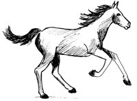1853.TIF