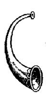 HORN.TIF