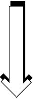 PFEIL79B.TIF