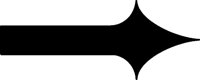PFEIL30A.TIF