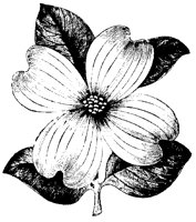 BLUME292.TIF