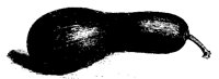 BLUME277.TIF