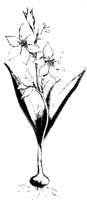 BLUME117.TIF