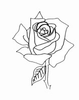 ROSE3.TIF