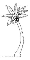 PALME5.TIF