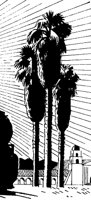 PALME3.TIF