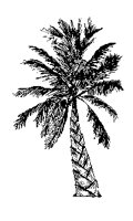 PALME.TIF