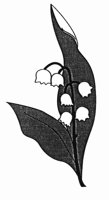 MAIGLOCK.TIF