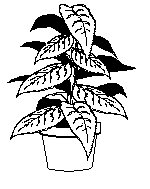 G_BAUM1.TIF