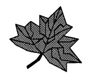 BLATT.TIF