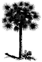 BAUM28.TIF