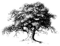 BAUM06.TIF