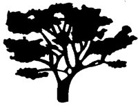BAUM.TIF