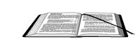 BIBEL2.TIF