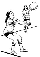V_BALL.TIF