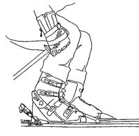 SKI.TIF