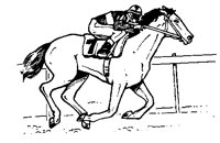 REITEN1.TIF