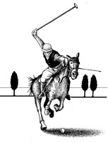 POLO.TIF