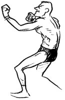 BOXER.TIF