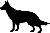 HUND.TIF