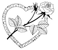 HERZ2.TIF