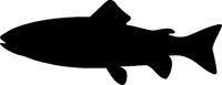 FISCH03.TIF