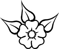 BLUME.TIF