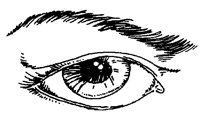 AUGE.TIF