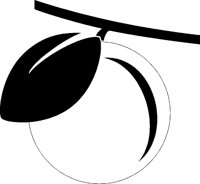 APFEL.TIF