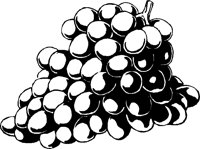 WEINTRA1.TIF