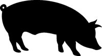 SCHWEIN.TIF