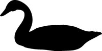 SCHWAN.TIF